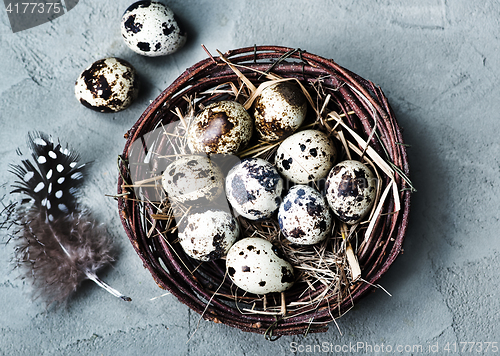 Image of quail eggs