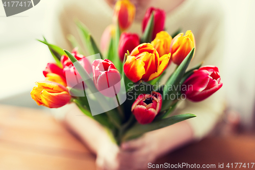 Image of close up of woman holding tulip flowers
