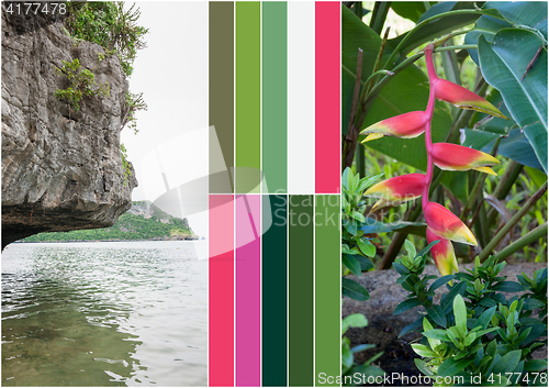 Image of Beach on tropical island. Flowers. Collage