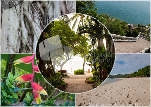 Image of Beach on the tropical island. Thailand. Flowers. Collage