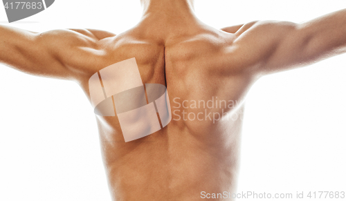 Image of mens back close up isolated on white background, many muscle dem