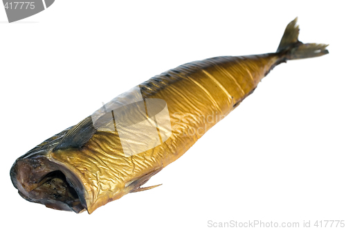 Image of Smoked mackerel  isolated