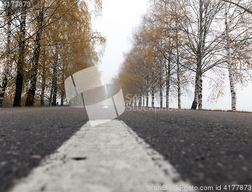 Image of asphalted road, autumn