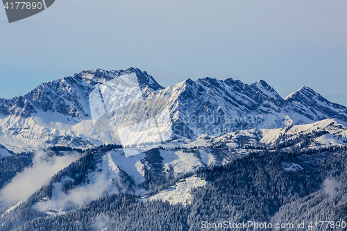 Image of Winter Landscape