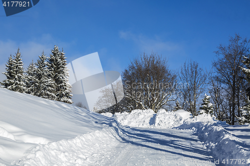 Image of Winter Road