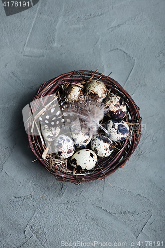 Image of quail eggs