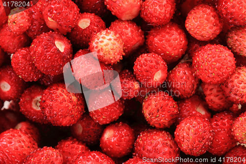 Image of fresh red strawberries background