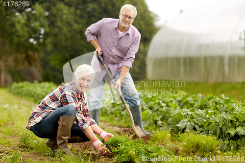 Image of senior couple working in garden or at summer farm