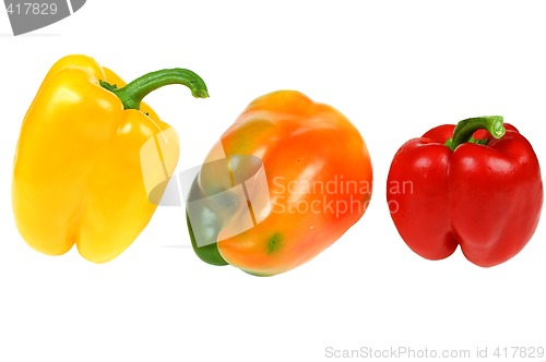 Image of Colorful paprika