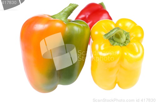 Image of Colorful paprika