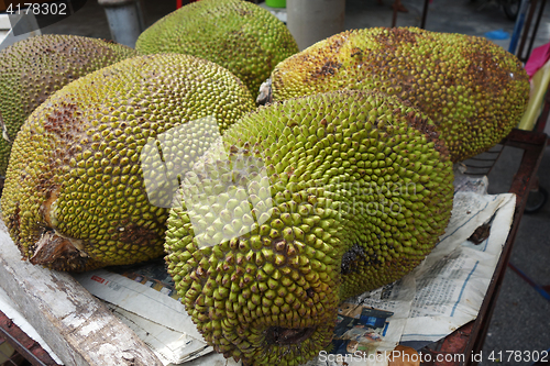 Image of Jackfruit, also known as jack tree