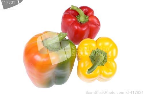Image of Colorful paprika