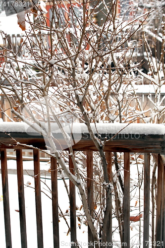 Image of Winter snow.