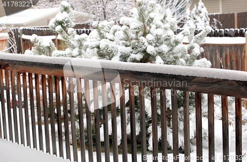 Image of Winter snow.