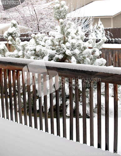 Image of Winter snow.