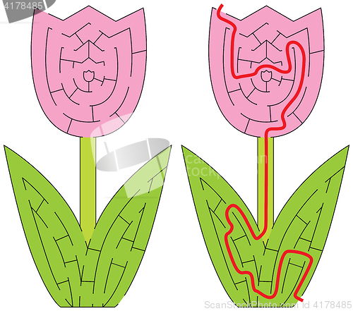 Image of Easy tulip maze