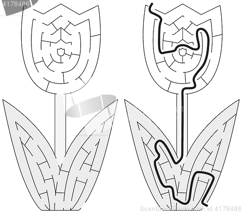 Image of Easy tulip maze