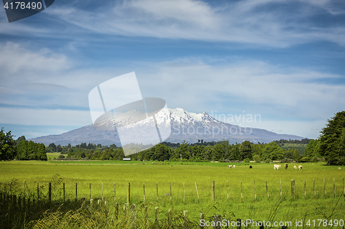 Image of Mount Ruapehu volcano in New Zealand