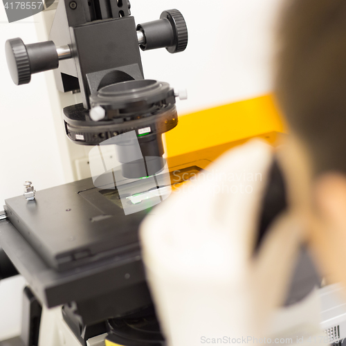 Image of Life science researcher microscoping in genetic scientific laboratory.