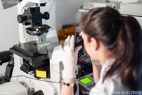 Image of Life science researcher microscoping in genetic scientific laboratory.