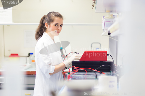 Image of Life science researcher setting voltege on power supply to run electrophoresis.