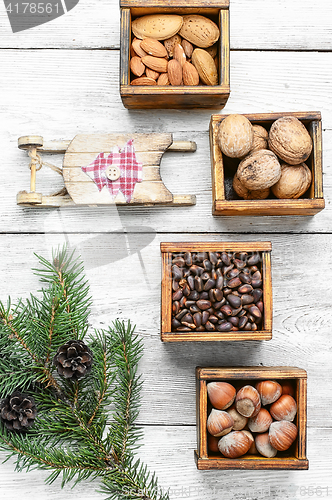 Image of Wild nuts for Christmas