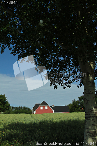 Image of Red house in Danish landscapes in the summer