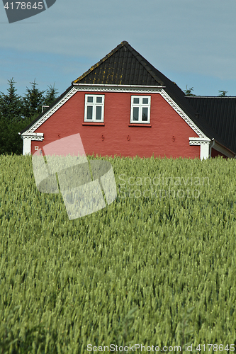 Image of Red house in Danish landscapes in the summer