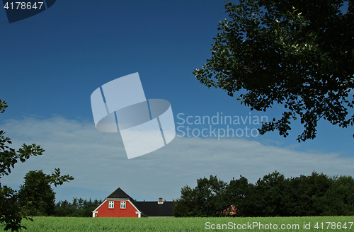 Image of Red house in Danish landscapes in the summer