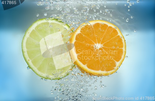 Image of Lemon and tangarine slices