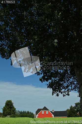 Image of Red house in Danish landscapes in the summer