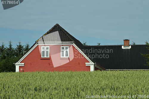 Image of Red house in Danish landscapes in the summer