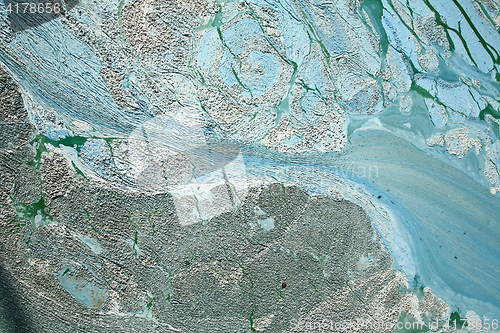 Image of Blue-green algae on a lake in denmark