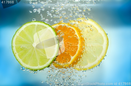 Image of Citrus slice in water