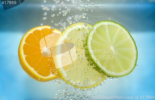 Image of Citrus slice in water