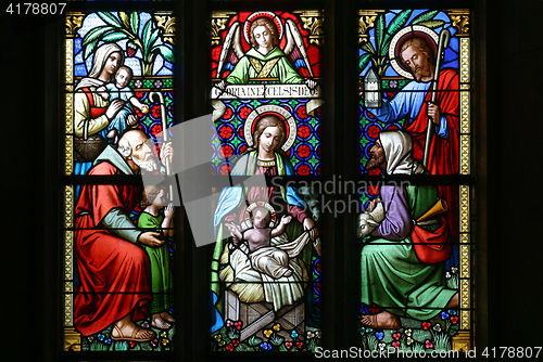 Image of Nativity Scene, stained glass