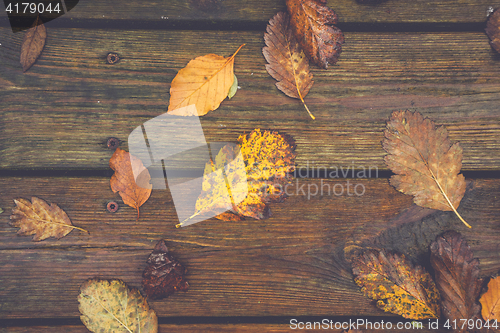 Image of Autumn leafs on a wooden background