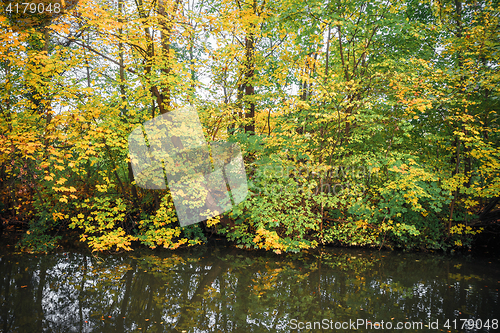 Image of Dark lake with colorful trees in the fall