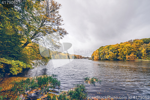 Image of Trees in autumn colors around a lake