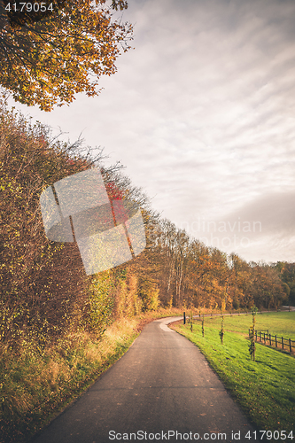 Image of Countryside road passing through a rural environment