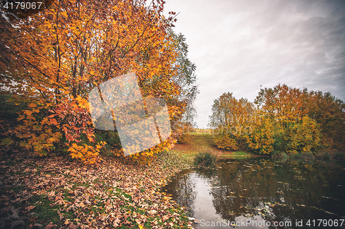 Image of Colorful trees by a small pond in the fall