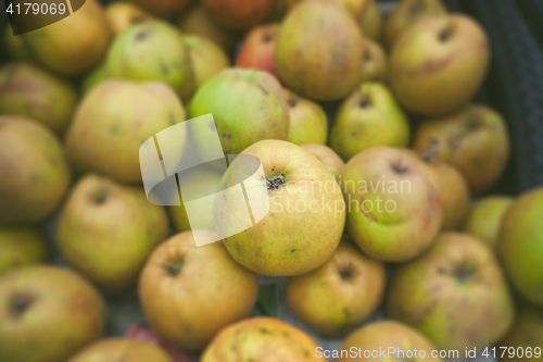 Image of Green apples in a stack in autumn