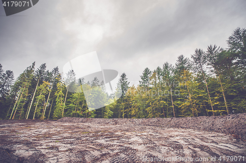 Image of Colorful trees around a cleared area