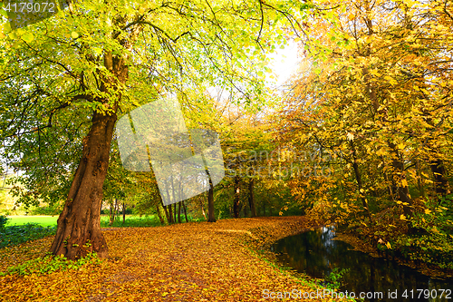 Image of Autumn nature with a trail