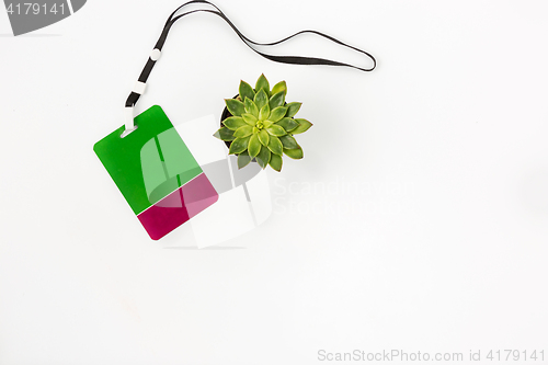 Image of Blank badge with lanyard on white