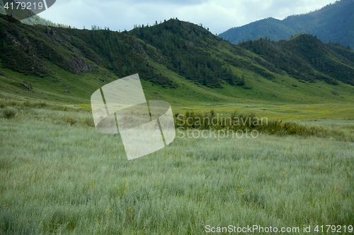 Image of Attractive mountain valley