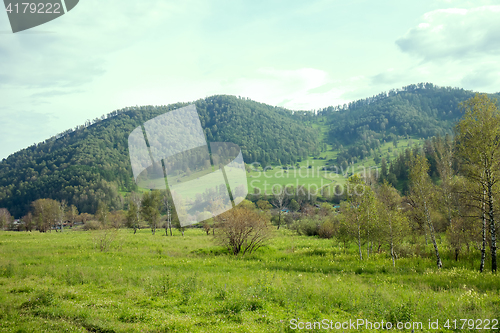 Image of Summer mountains landscape with trees.