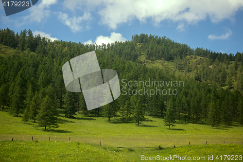 Image of Summer mountains landscape with trees.