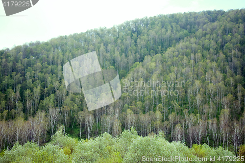 Image of landscape in mountains.