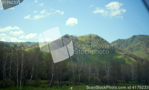 Image of Covered with mixed forests of the Altai mountains.